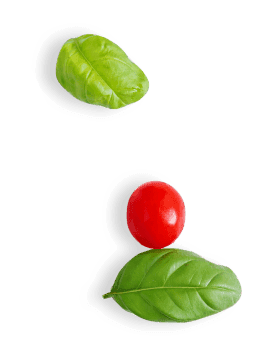 tomato